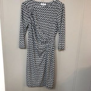 Calvin Klein Professional Dress